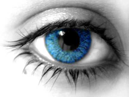 Atra Lupus De'Sousa Blue-eyes